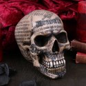 Czaszka Draculas Tale 18.5cm Vampire Skull