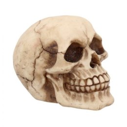 Czaszka Joker 12cm Skull