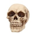 Czaszka Joker 12cm Skull