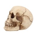 Czaszka Joker 12cm Skull