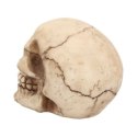 Czaszka Joker 12cm Skull