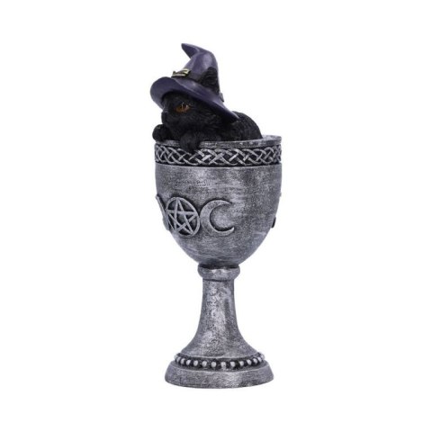 Czarny kot czarownicy Coven Cup 15.7cm