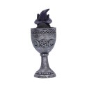 Czarny kot czarownicy Coven Cup 15.7cm