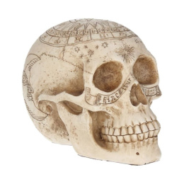 Czaszka Astrologiczna - Astrological Skull 20cm