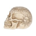 Czaszka Astrologiczna - Astrological Skull 20cm