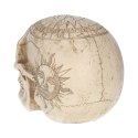 Czaszka Astrologiczna - Astrological Skull 20cm