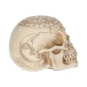 Czaszka Astrologiczna - Astrological Skull 20cm