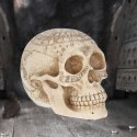 Czaszka Astrologiczna - Astrological Skull 20cm