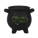 Herbs For Spells - doniczka zioła na zaklęcia