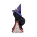 Hocus Small Witches Familiar Black Cat and Spellbook Figurine 12,7cm - czarny kot