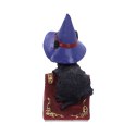 Hocus Small Witches Familiar Black Cat and Spellbook Figurine 12,7cm - czarny kot