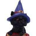 Hocus Small Witches Familiar Black Cat and Spellbook Figurine 12,7cm - czarny kot