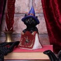 Hocus Small Witches Familiar Black Cat and Spellbook Figurine 12,7cm - czarny kot