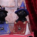 Hocus Small Witches Familiar Black Cat and Spellbook Figurine 12,7cm - czarny kot