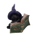 Kitty's Grimoire Figurine in Green 8.2cm - czarny kot