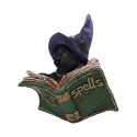 Kitty's Grimoire Figurine in Green 8.2cm - czarny kot