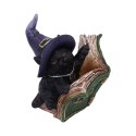 Kitty's Grimoire Figurine in Green 8.2cm - czarny kot