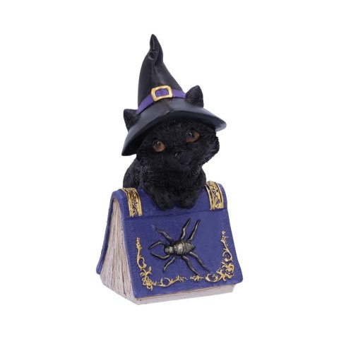 Pocus Small Witches Familiar Black Cat and Spellbook Figurine czarny kot