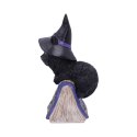 Pocus Small Witches Familiar Black Cat and Spellbook Figurine czarny kot