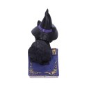 Pocus Small Witches Familiar Black Cat and Spellbook Figurine czarny kot