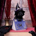 Pocus Small Witches Familiar Black Cat and Spellbook Figurine czarny kot