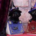 Pocus Small Witches Familiar Black Cat and Spellbook Figurine czarny kot