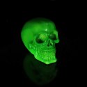 Psychedelic Fluorescent Skull Green 15.5cm