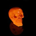 Psychedelic Fluorescent Skull Orange 15.5cm