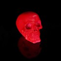 Psychedelic Fluorescent Skull Pink 15.5cm