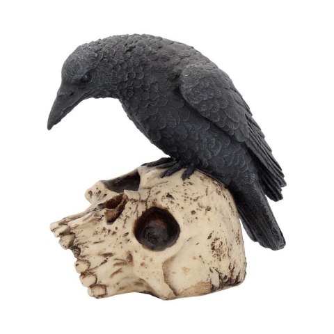 Ravens Remains 13cm - figurka kruka na czaszce