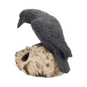 Ravens Remains 13cm - figurka kruka na czaszce