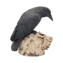 Ravens Remains 13cm - figurka kruka na czaszce