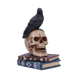 Raven's Spell 10.3cm - figurka kruka na czaszce