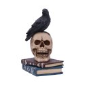 Raven's Spell 10.3cm - figurka kruka na czaszce