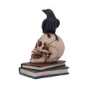 Raven's Spell 10.3cm - figurka kruka na czaszce