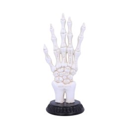 Skeletal Palmistry 22.8cm - czytanie dłoni