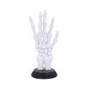 Skeletal Palmistry 22.8cm - czytanie dłoni