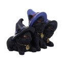 Trzy koty - Familiar Felines Black Cats in Witches Hats Figurine 9,8cm