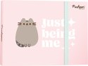 KOT PUSHEEN - Pamiętnik notes notatnik z gumką