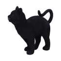 Czarny kot - Moonlight Watcher Black Cat Figurine 15cm