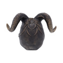 Czaszka Diabolus Horned Skull 18cm