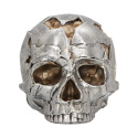 Czaszka Large Alternative Fracture Skull 16cm