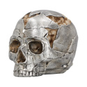 Czaszka Large Alternative Fracture Skull 16cm