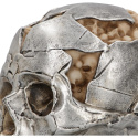 Czaszka Large Alternative Fracture Skull 16cm