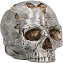 Czaszka Large Alternative Fracture Skull 16cm