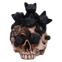 Czaszka z kotami Cranial Litter Skull 14cm