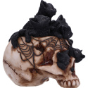 Czaszka z kotami Cranial Litter Skull 14cm