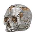 Czaszka Small Alternative Fracture Skull 11cm