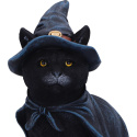 Czarny kot - Bewitching Witch Cat Figurine 18.5cm