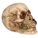 Dekoracyjna Czaszka z fioletową różą w zębach - skull 7cm